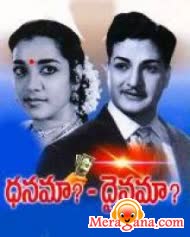 Poster of Dhanama Daivama (1973) 